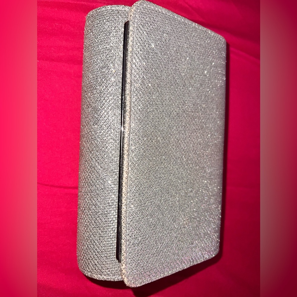 Silver clutch purse